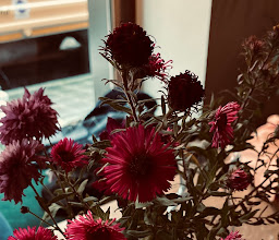 Ill Amore photo