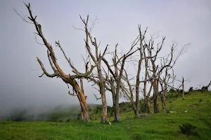 Pic Macaya National Park image