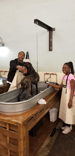 Pet Supply Store «Wags & Whiskers - West Nashville», reviews and photos, 3731 Charlotte Ave, Nashville, TN 37209, USA