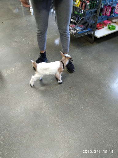 Bicycle Rental Service «Silver Comet Cycles», reviews and photos, 4342 Floyd Rd SW, Mableton, GA 30126, USA