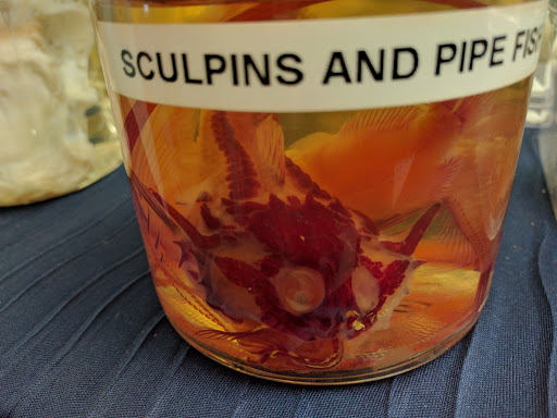 Tourist Attraction «South Sound Estuarium», reviews and photos, 309 State Ave NE, Olympia, WA 98501, USA