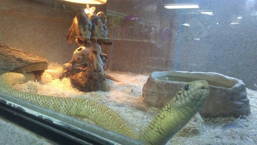 Pet Store «V.I. Pets», reviews and photos, 11975 E Lakewood Blvd, Holland, MI 49424, USA