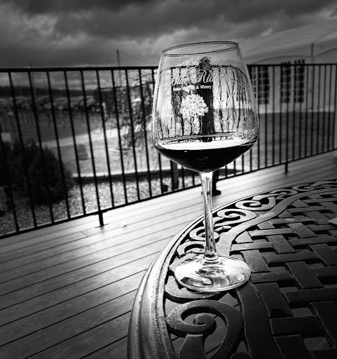 Vineyard «Blue Ridge Estate Vineyard & Winery», reviews and photos, 239 Blue Ridge Rd, Saylorsburg, PA 18353, USA