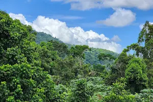 El Portal de El Yunque Visitor Center - El Yunque National Forest image