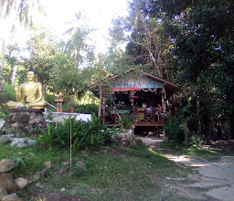 TARZAN BAR photo