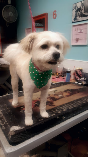 Tobacco Shop «The Smokers Edge Smoke and Vape Shop», reviews and photos, 19756 N John Wayne Pkwy #114, Maricopa, AZ 85138, USA