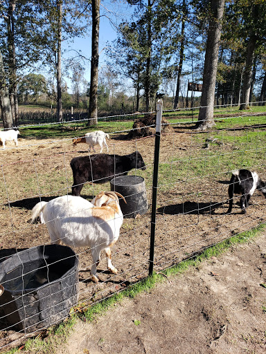 Tourist Attraction «Sugar Hill U-pick Farms», reviews and photos, 3595 Co Rd 59, Verbena, AL 36091, USA