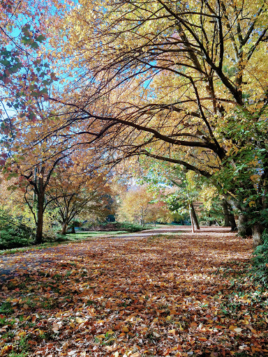 Park «Barcroft Park», reviews and photos, 4200 S Four Mile Run Dr, Arlington, VA 22206, USA