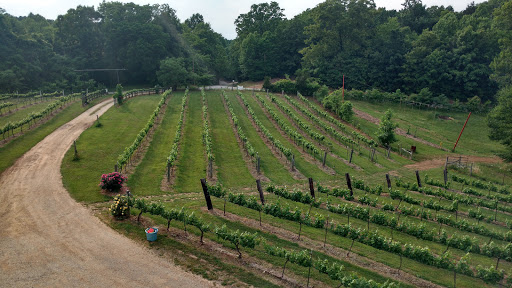 Vineyard «Lexington Vineyard», reviews and photos, 2000 Dog Hollow Rd, Lynnville, TN 38472, USA