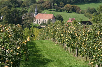 Les Vergers de Mothois à Saint-Quentin-des-Prés