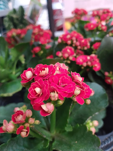 Home Improvement Store «The Home Depot», reviews and photos, 9615 Diamond Centre Dr, Mentor, OH 44060, USA