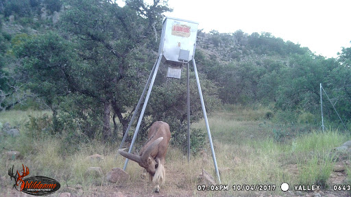 Manufacturer «All Seasons Feeders», reviews and photos, 8424 US Hwy 87 E, San Antonio, TX 78263, USA