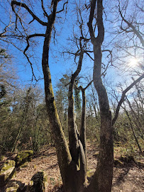Photo n° 2 de l'avis de Séverine Chartier fait le 09/04/2023