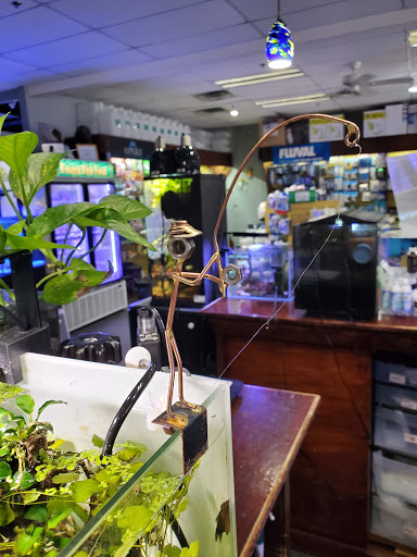 Tropical Fish Store «Optimum Aquarium», reviews and photos, 840 Ernest W Barrett Pkwy NW #700, Kennesaw, GA 30144, USA