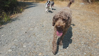 Trail Dogs - Photo 2 - Car repair in , Bellingham