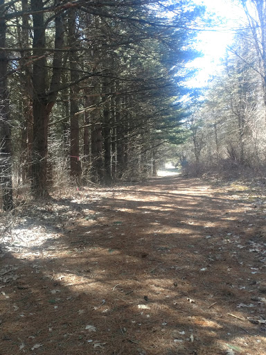 Golf Club «Gull Lake View Golf Club & Resort», reviews and photos, 7417 N 38th St, Augusta, MI 49012, USA