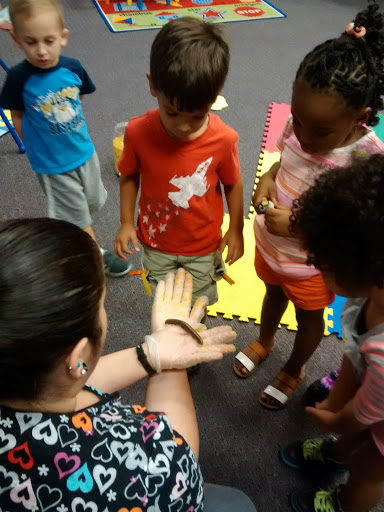 School «Kidz Rock Early Learning Center», reviews and photos, 6641 FL-46, Sanford, FL 32771, USA