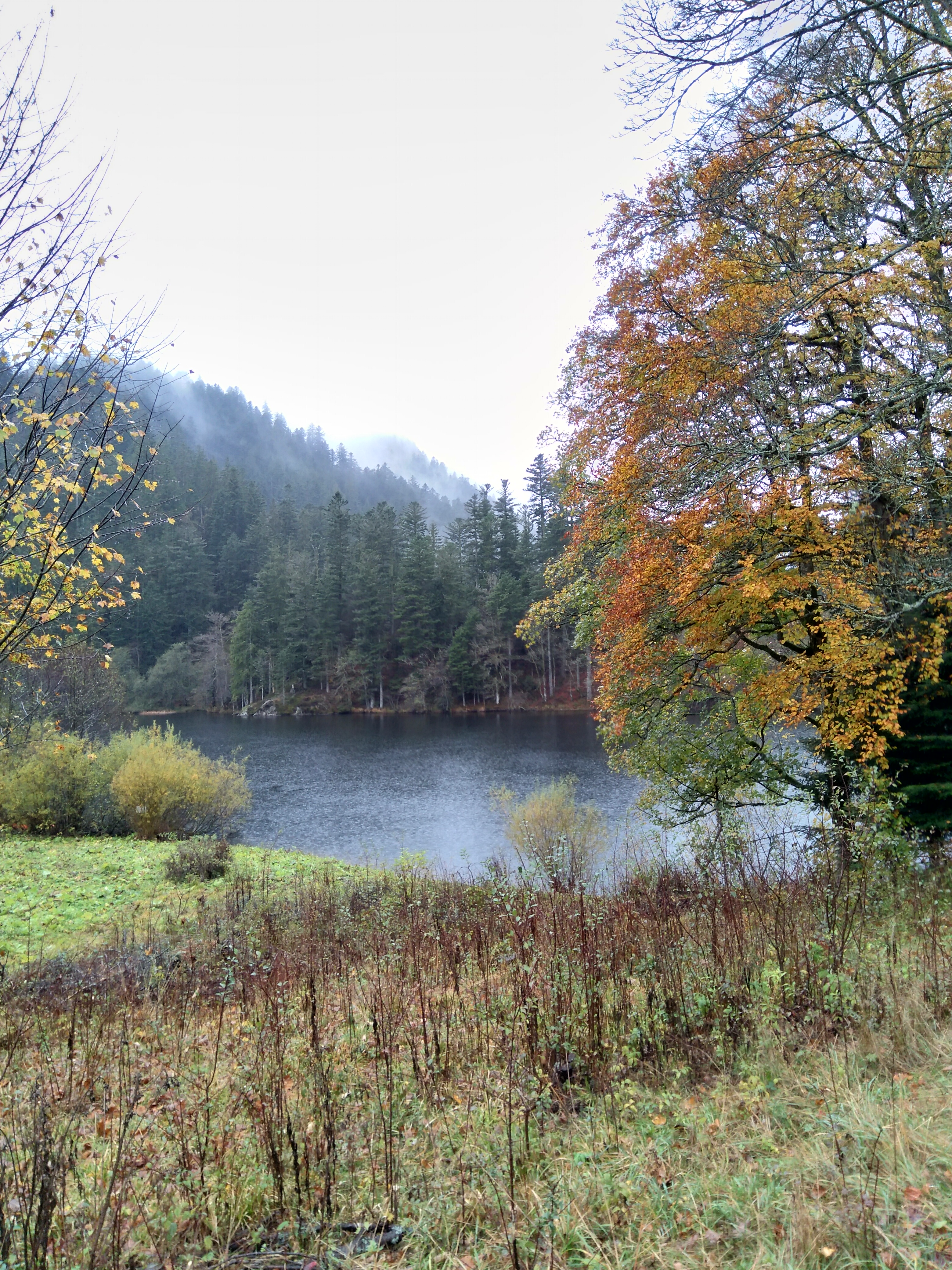 Photo n° 3 de l'avis de Anna.e fait le 02/11/2019 à 06:55