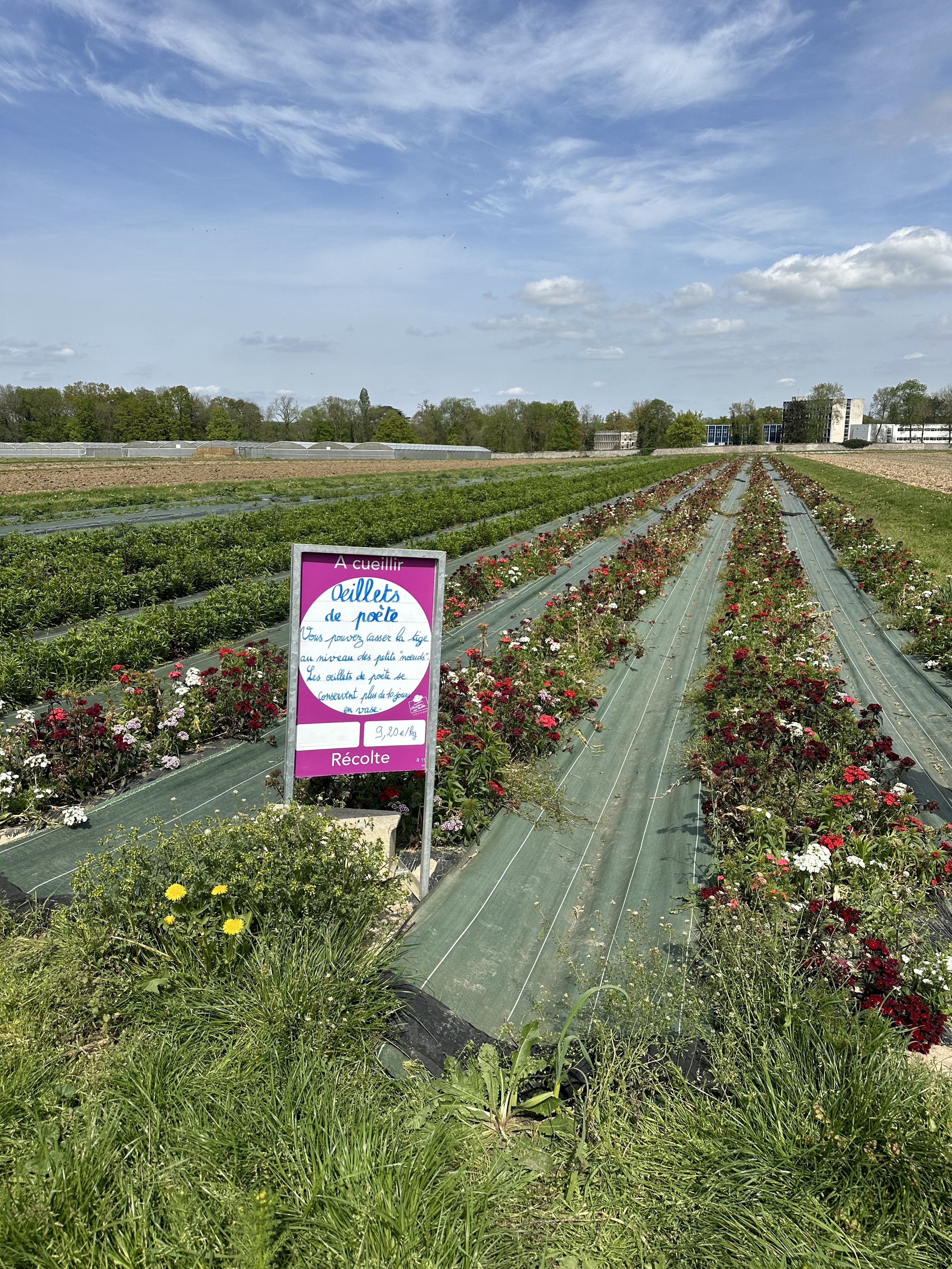 Photo n° 3 de l'avis de Hélène. fait le 14/04/2024 à 22:19