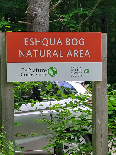 Nature Preserve «Eshqua Bog Natural Area», reviews and photos, Garvin Hill Rd, Woodstock, VT 05091, USA