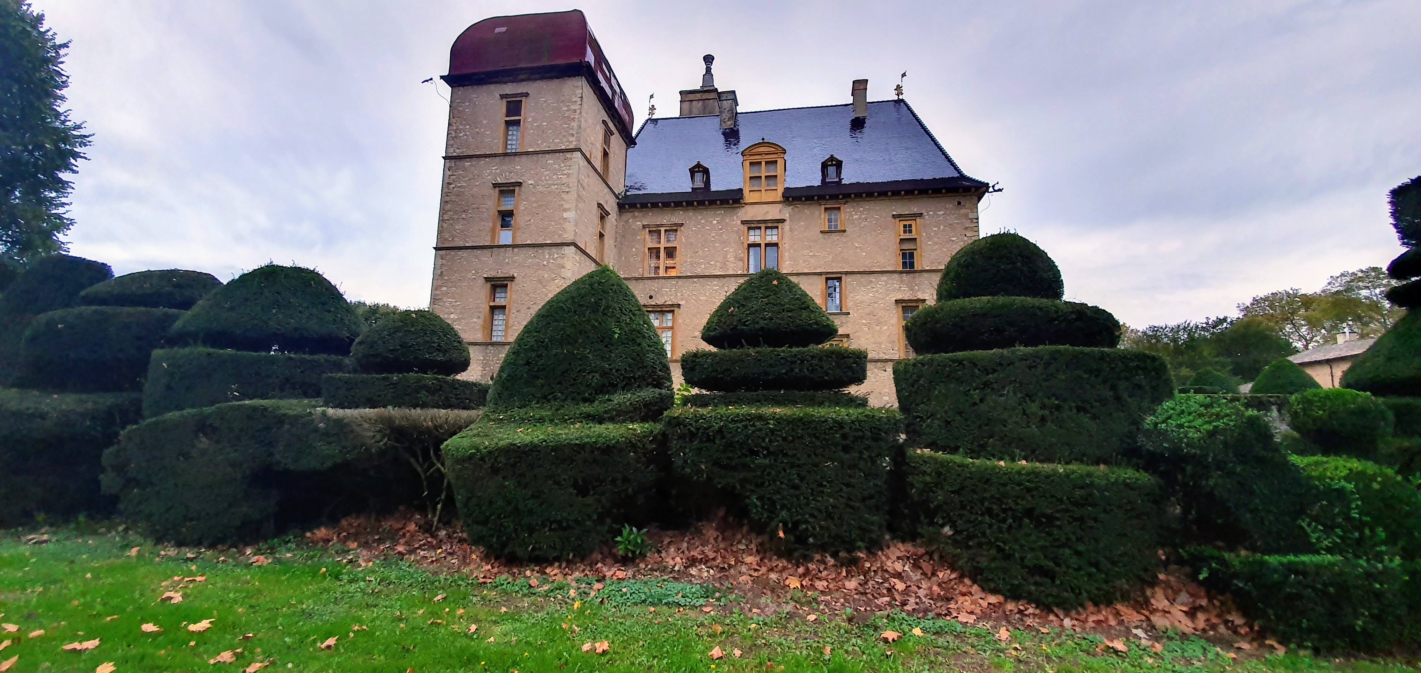 Photo n° 12 de l'avis de pierre.e fait le 04/11/2019 à 09:59