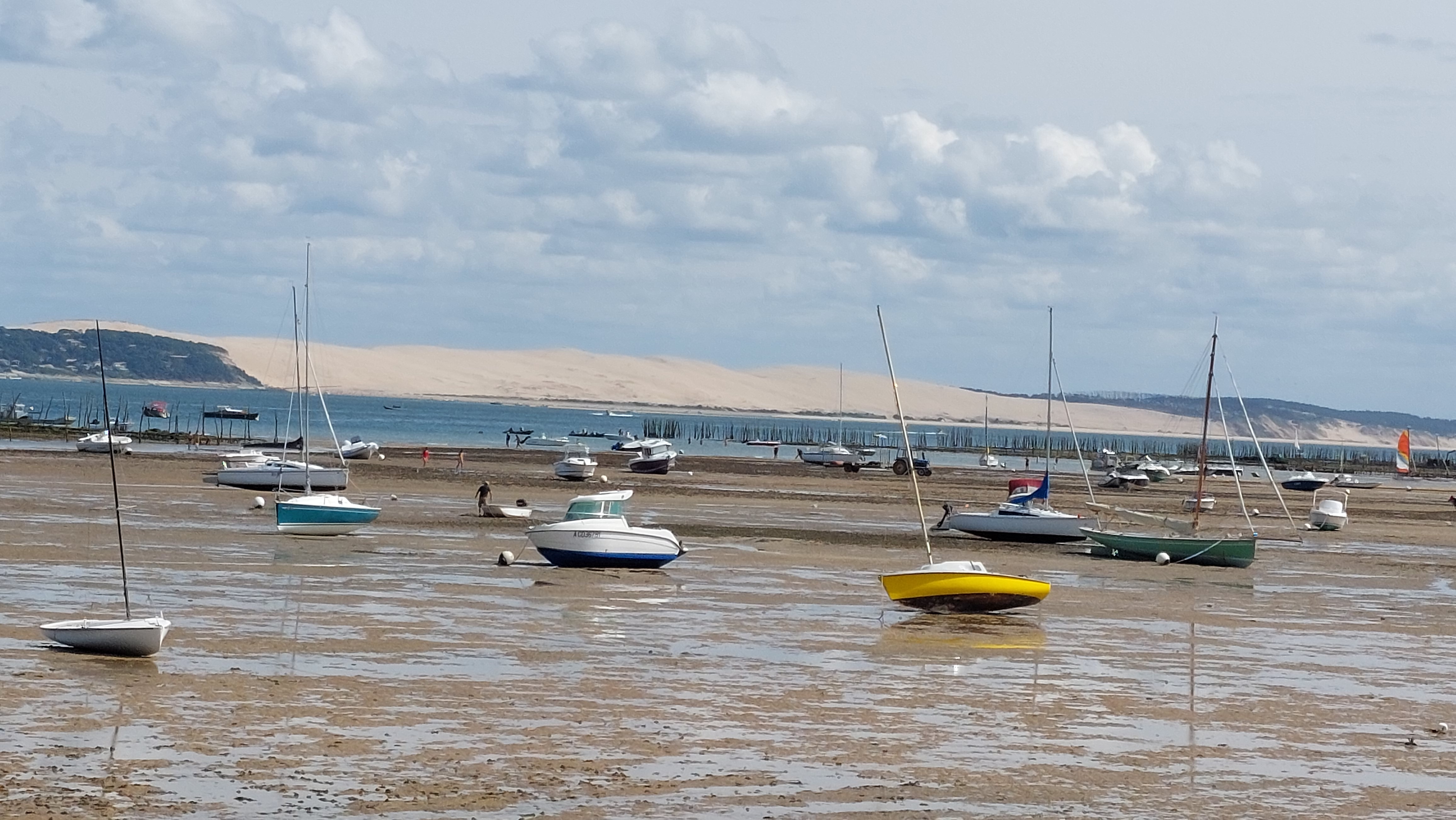 Photo n° 7 de l'avis de N.scott. fait le 27/07/2023 à 17:07