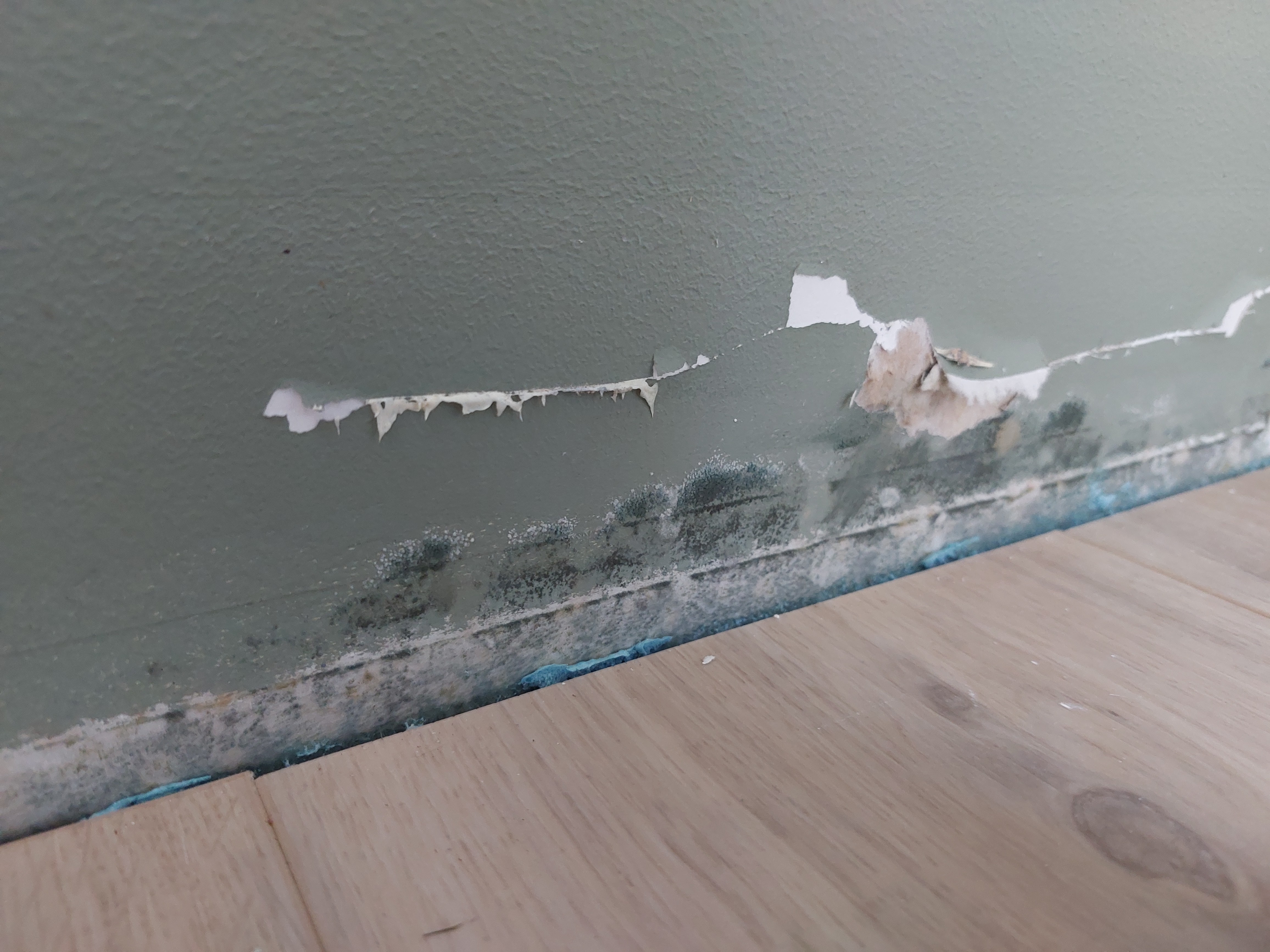 Photo n° 2 de l'avis de Pauline.l fait le 16/11/2023 à 20:22