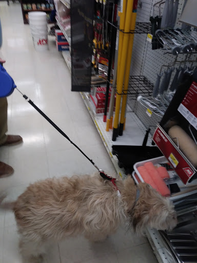 Hardware Store «Ace Peninsula Hardware», reviews and photos, 12490 Warwick Blvd, Newport News, VA 23606, USA