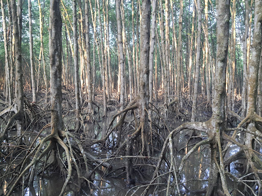 Top 20 cửa hàng play Huyện Cần Giờ Hồ Chí Minh 2022