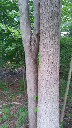 Nature Preserve «DeGraaf Nature Center», reviews and photos, 600 Graafschap Rd, Holland, MI 49423, USA