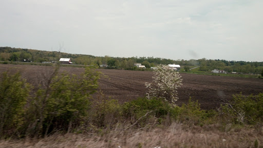 Hotel «RIT Inn & Conference Center», reviews and photos, 5257 W Henrietta Rd, Henrietta, NY 14467, USA