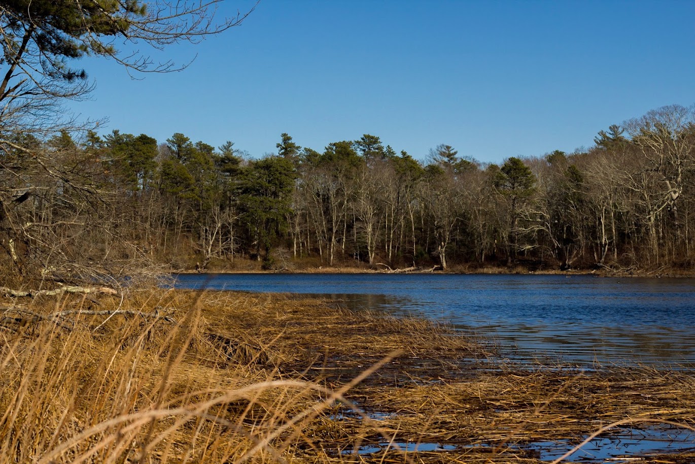 Little Island Pond