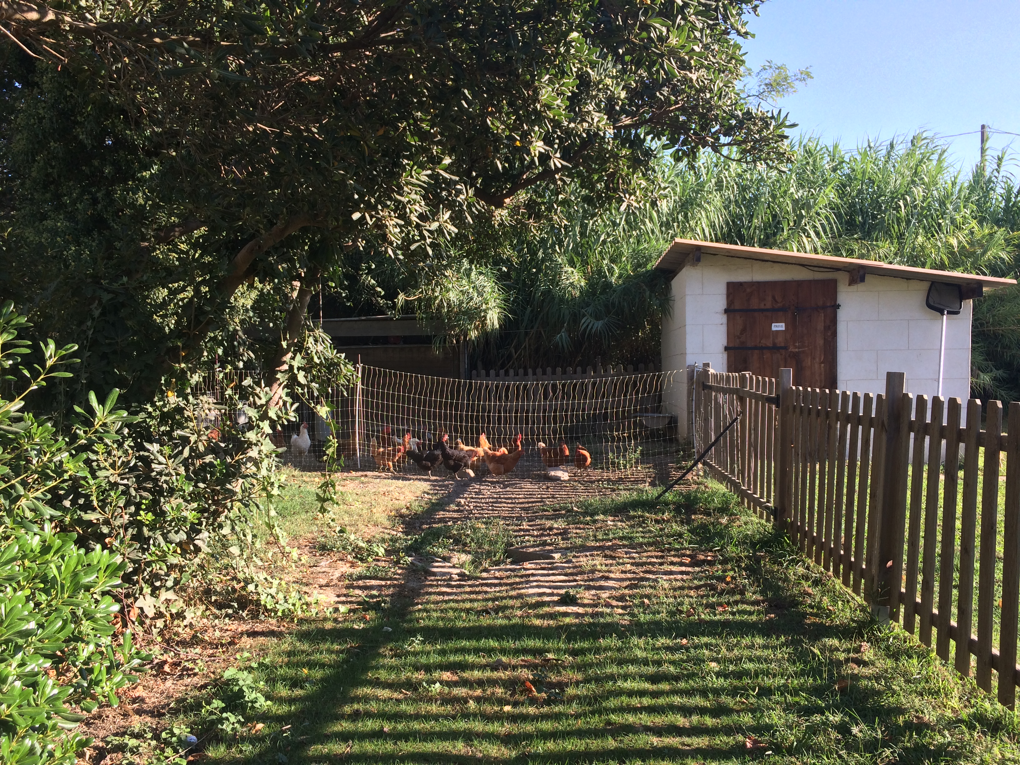 Photo n° 6 de l'avis de Giulia.n fait le 01/09/2017 à 12:47