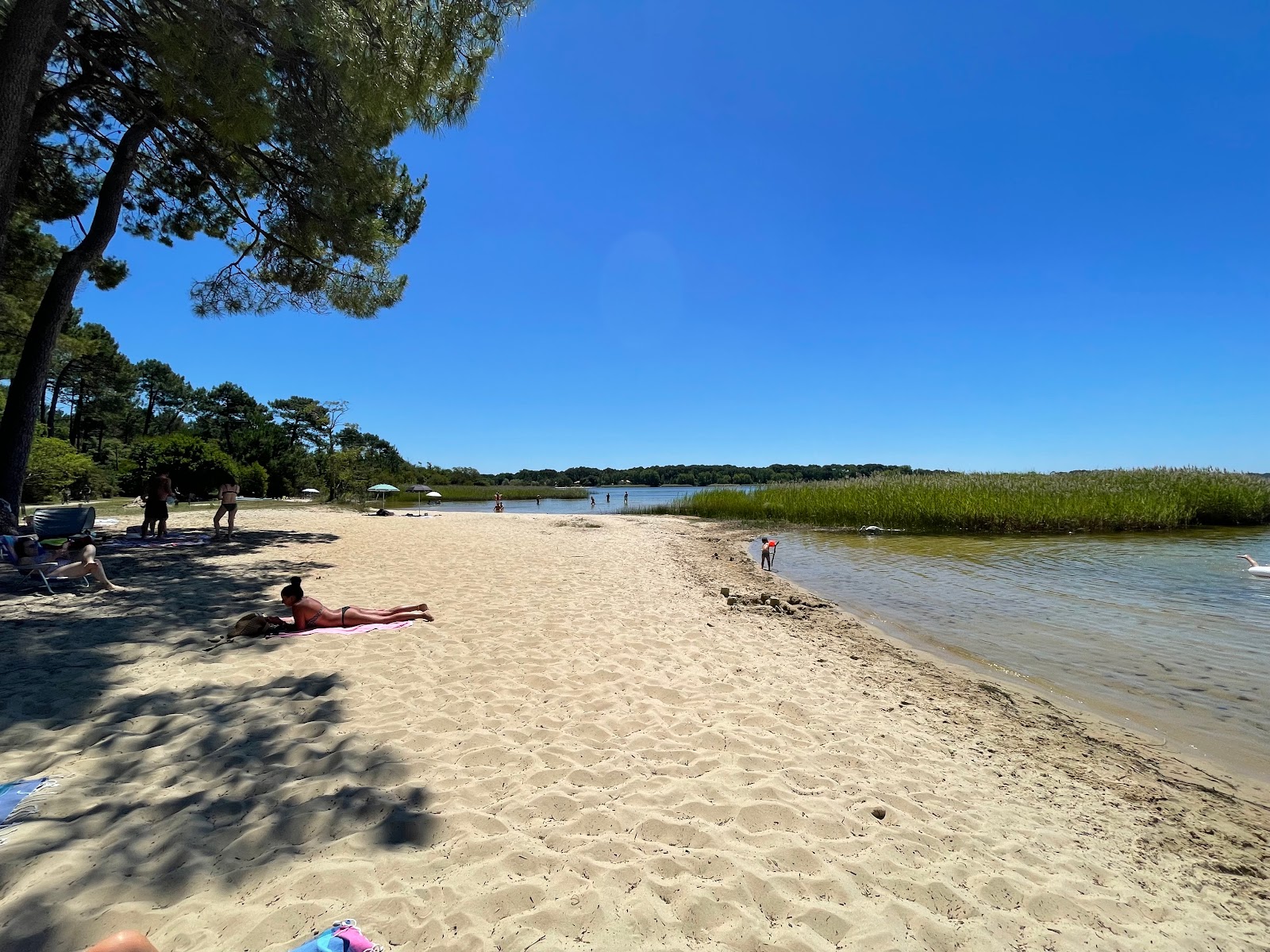 Photo of Sanguinet plage with bright sand surface