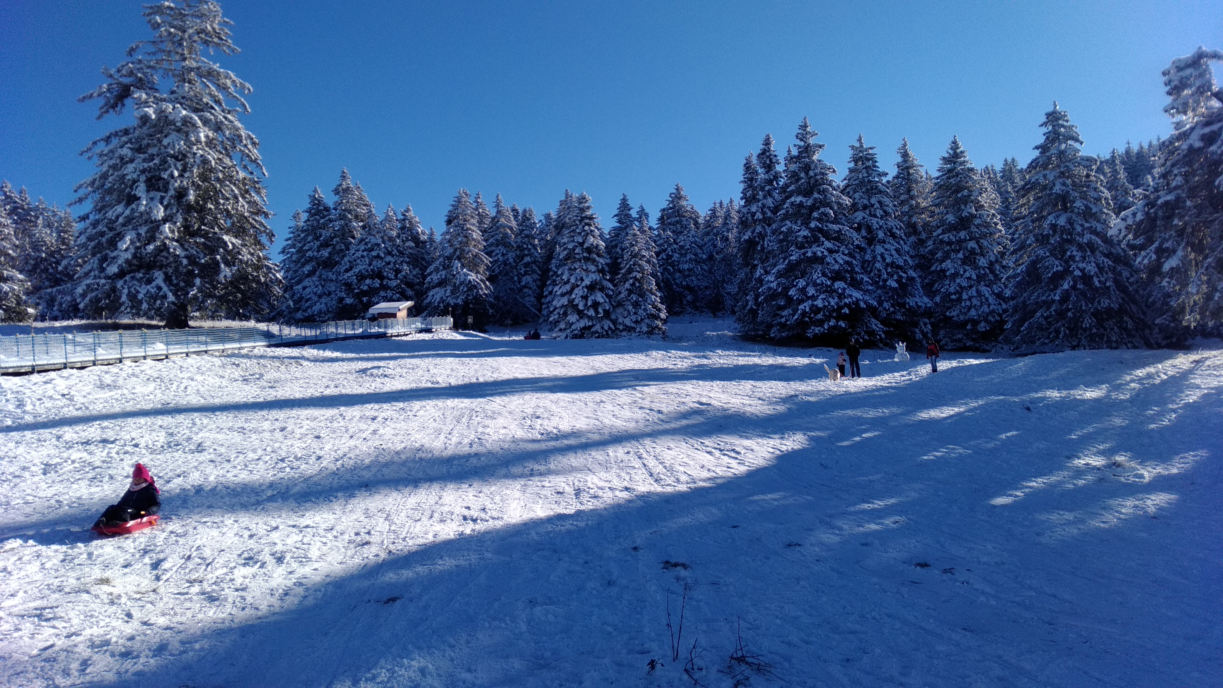 Photo n° 1 de l'avis de November.o fait le 09/11/2021 à 14:57