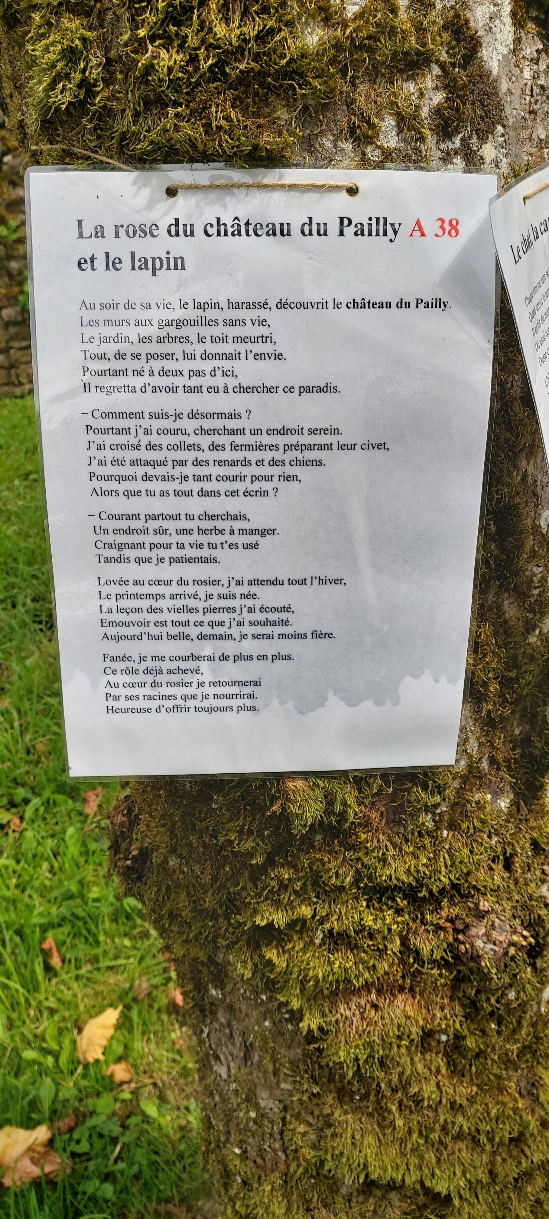 Photo n° 2 de l'avis de Patricia.� fait le 01/08/2021 à 16:56
