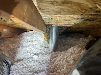 Victory Bee Removal - Photo 6 - Car repair in National City, CA, San Diego