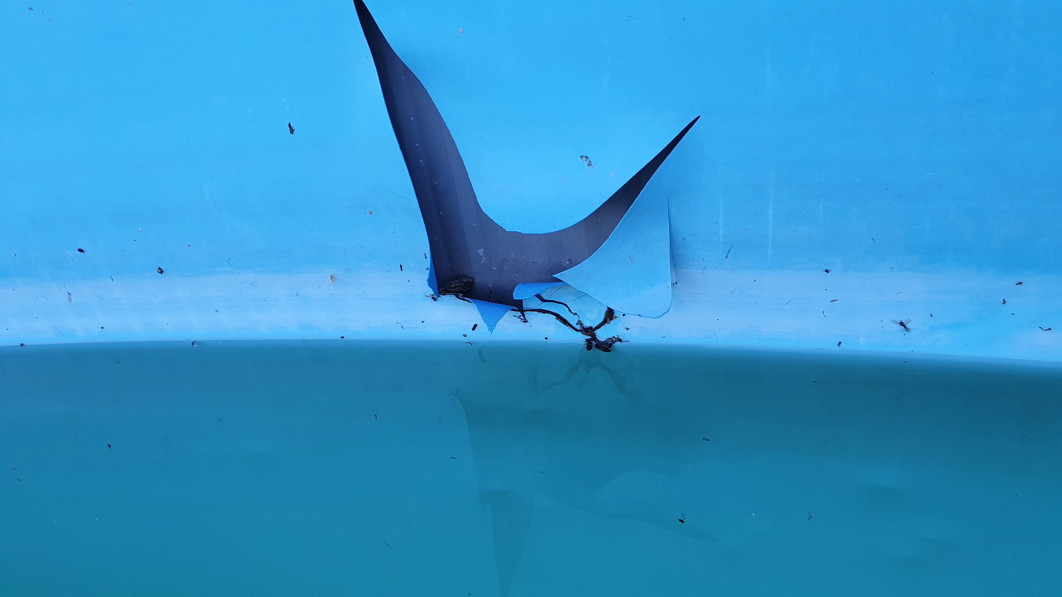 Photo n° 1 de l'avis de Céline.e fait le 03/03/2022 à 17:35