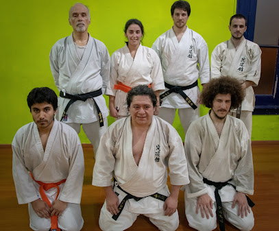 Dokan Dojo Clases De Karate Y Kobudo - ACB, Tte. Gral. Juan Domingo Perón 1494, C1037 C1037ACB, Buenos Aires, Argentina