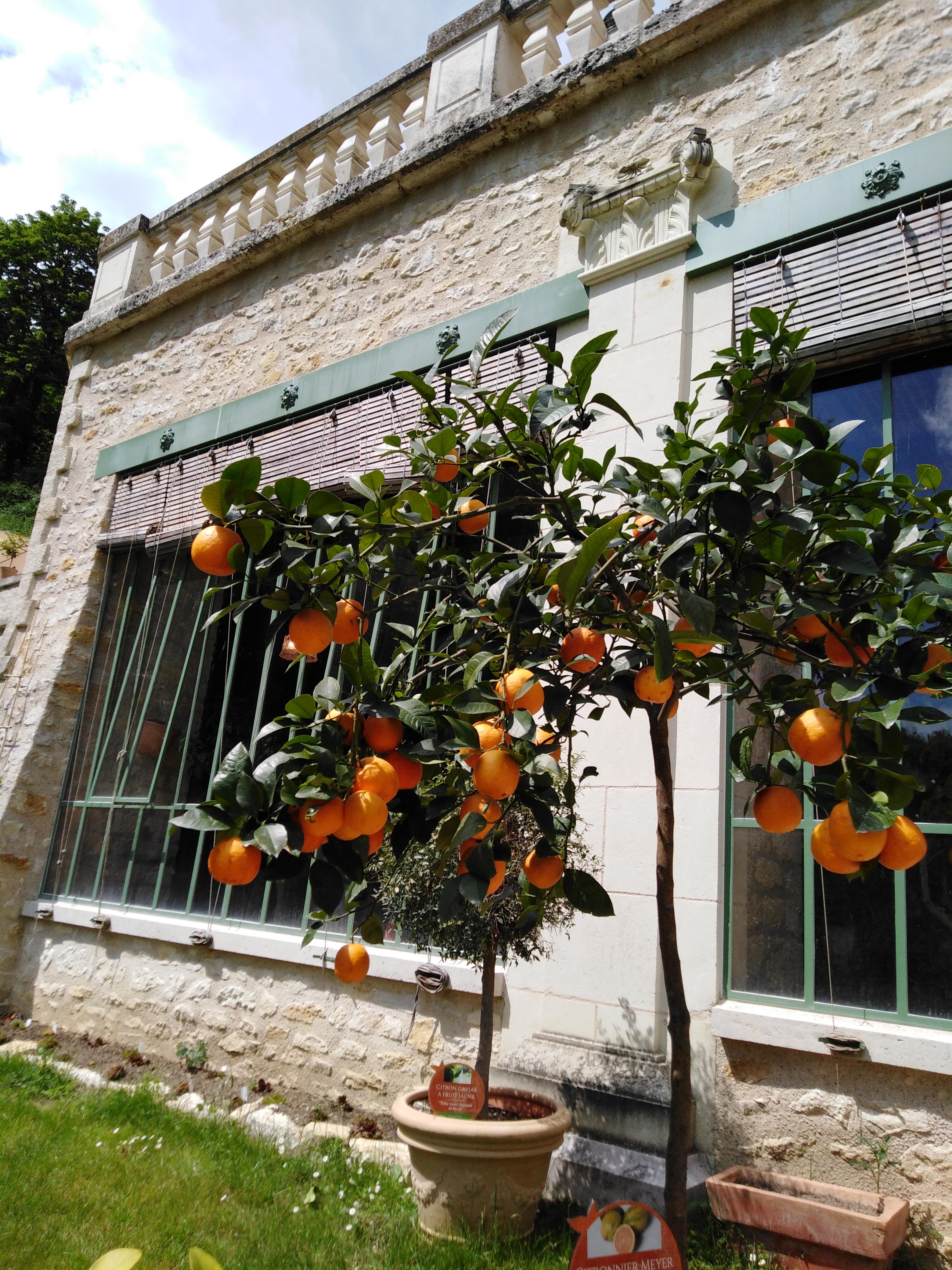 Photo n° 16 de l'avis de Josette.i fait le 07/06/2019 à 07:16
