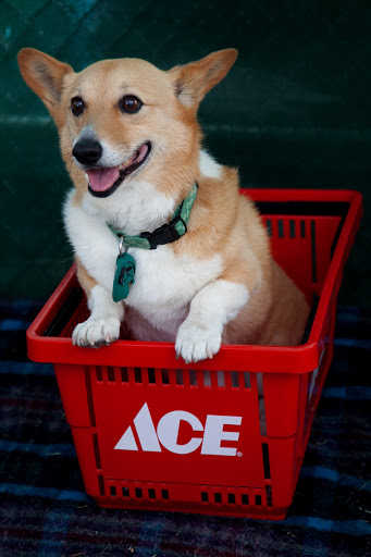 Hardware Store «Ace on The Fax», reviews and photos, 7100 E Colfax Ave, Denver, CO 80220, USA