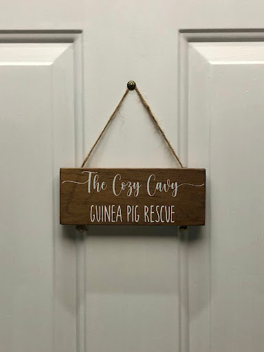 The Cozy Cavy Guinea Pig Rescue