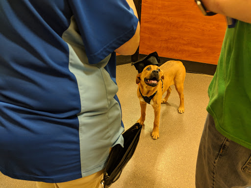 Pet Supply Store «PetSmart», reviews and photos, 2534 South Rd, Poughkeepsie, NY 12601, USA