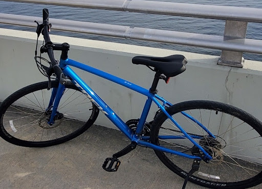 Bicycle Store «D & S Bicycle Shop», reviews and photos, 11561 Walsingham Rd # E, Largo, FL 33778, USA