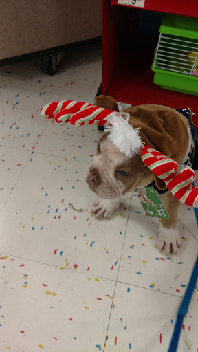 Pet Supply Store «Petco Animal Supplies», reviews and photos, 4950 S 76th St, Greenfield, WI 53220, USA