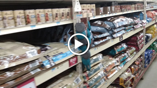 Home Improvement Store «Tractor Supply Co.», reviews and photos, 100 W Ardice Ave #1, Eustis, FL 32726, USA