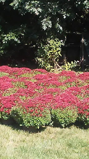 Park «Endicott Park (Town of Danvers)», reviews and photos, 57 Forest St, Danvers, MA 01923, USA