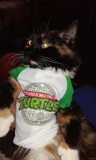 Pet Supply Store «Petco Animal Supplies», reviews and photos, 86 Storrs Rd, Mansfield Center, CT 06250, USA