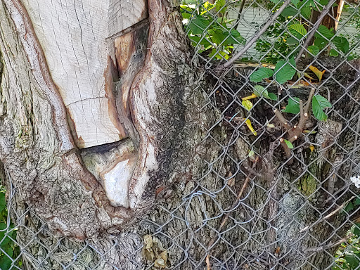 Hair Salon «Tease Salon», reviews and photos, 696 7th St W, St Paul, MN 55102, USA