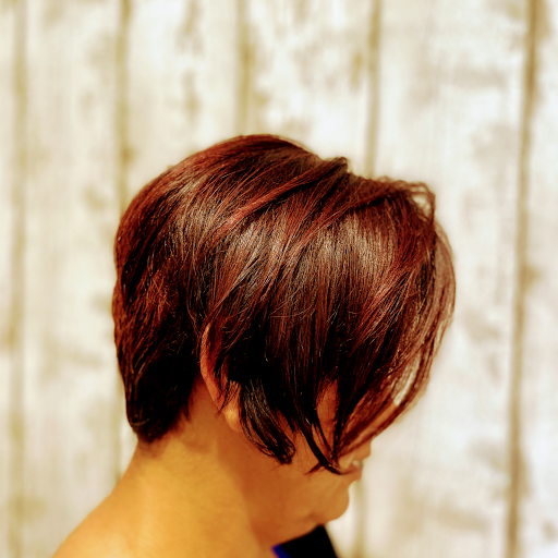 Hair Salon «Daniz Hair Design at Jean Claude Salon Del Mar», reviews and photos, 915 Camino Del Mar Suite 200, Del Mar, CA 92014, USA